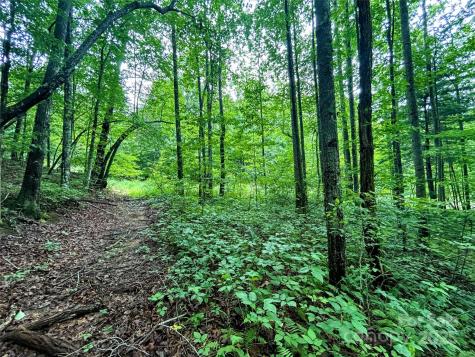 Lot 6 Azalea Way Saluda NC 28773