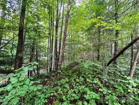 Lot 6 Azalea Way Saluda NC 28773