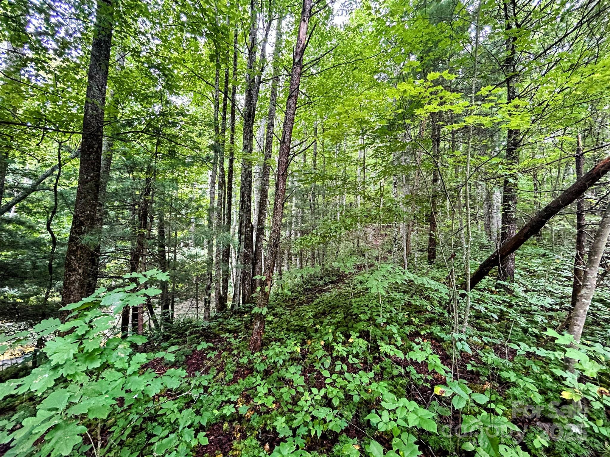 Lot 6 Azalea Way Saluda NC 28773