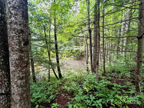 Lot 6 Azalea Way Saluda NC 28773