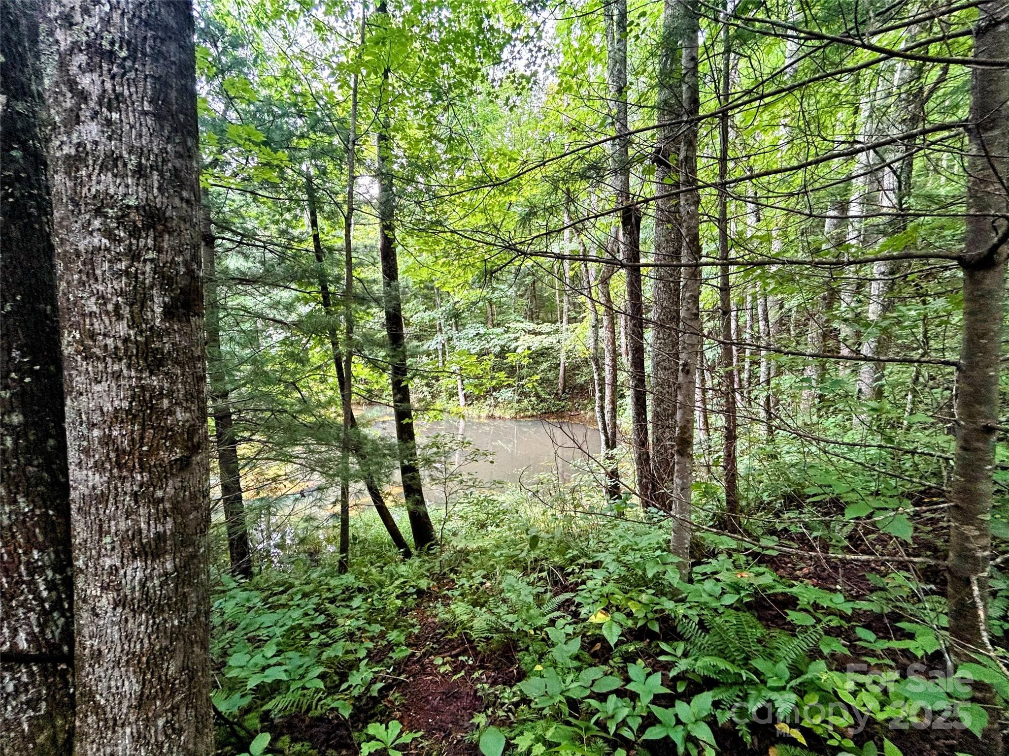 Lot 6 Azalea Way Saluda NC 28773