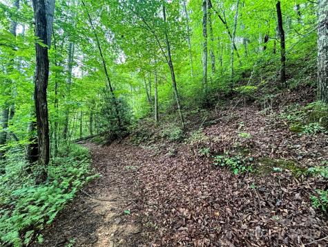 Lot 6 Azalea Way Saluda NC 28773