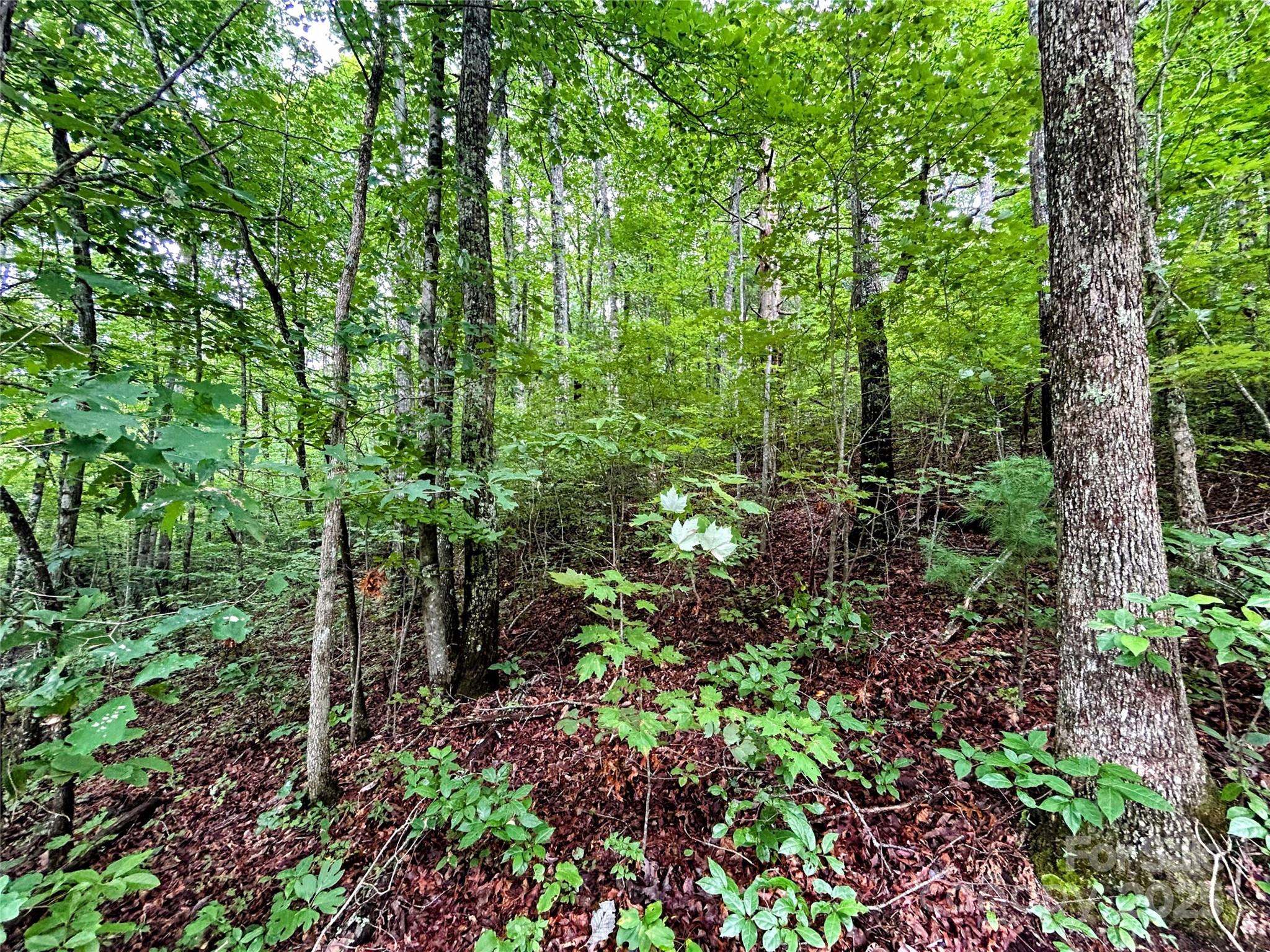 Lot 6 Azalea Way Saluda NC 28773
