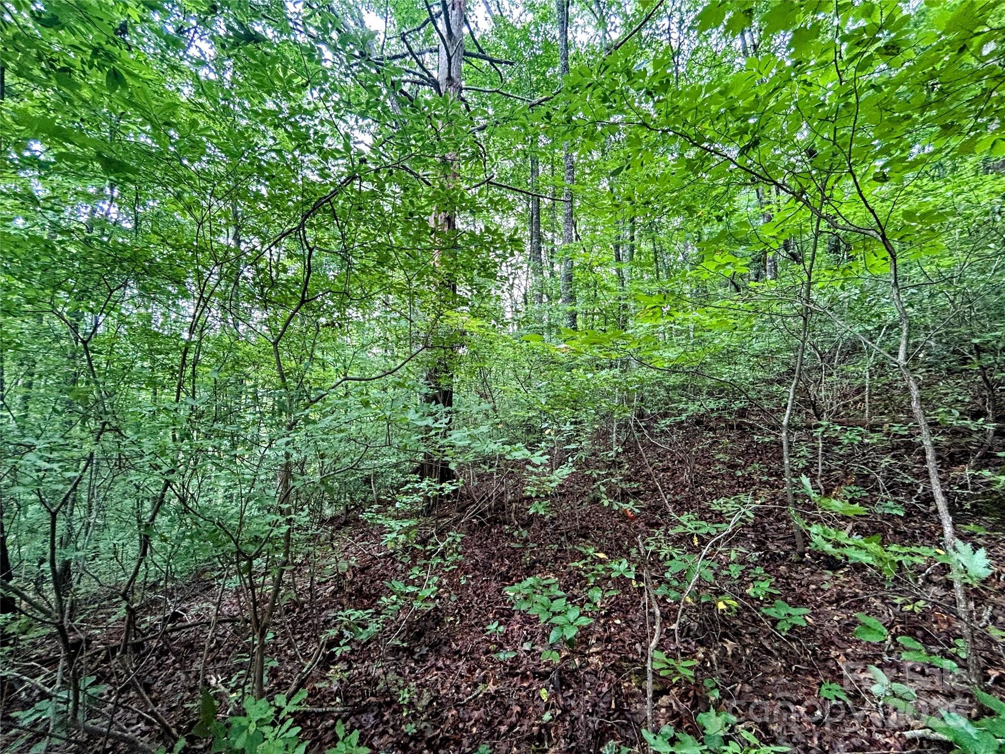 Lot 6 Azalea Way Saluda NC 28773