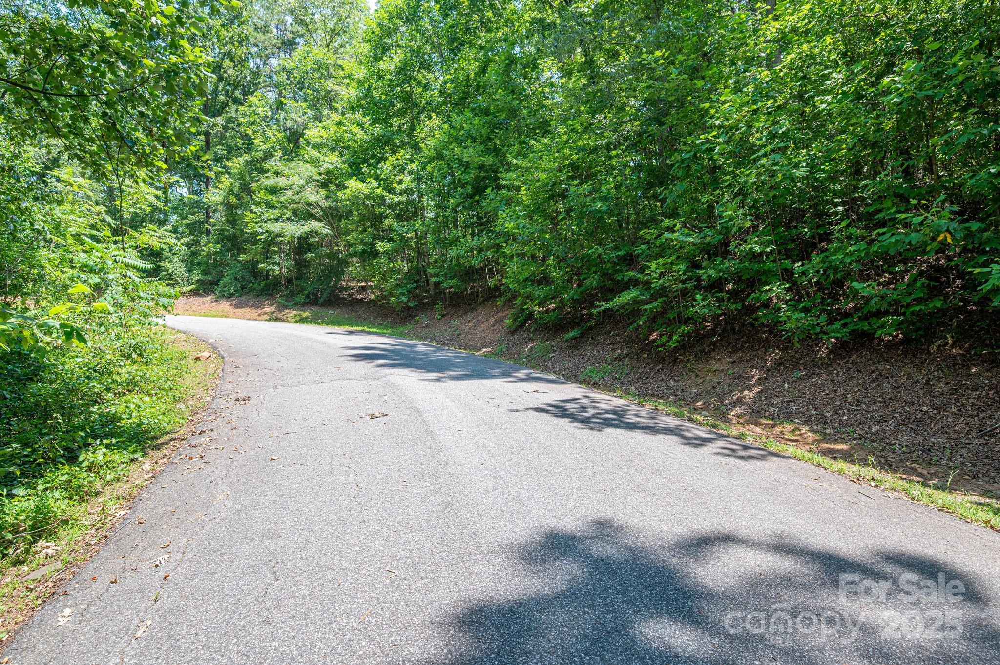 Lot #38 Moss Drive Rutherfordton NC 28139