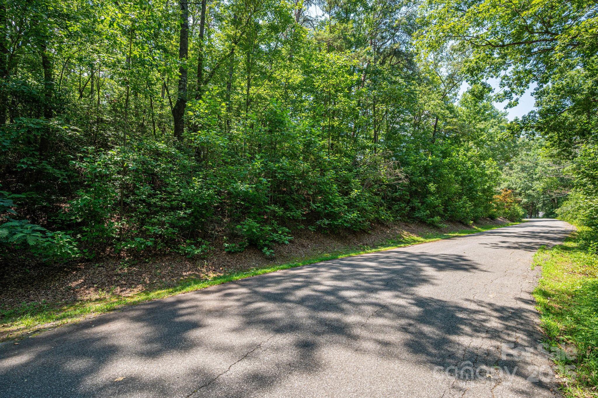 Lot #38 Moss Drive Rutherfordton NC 28139