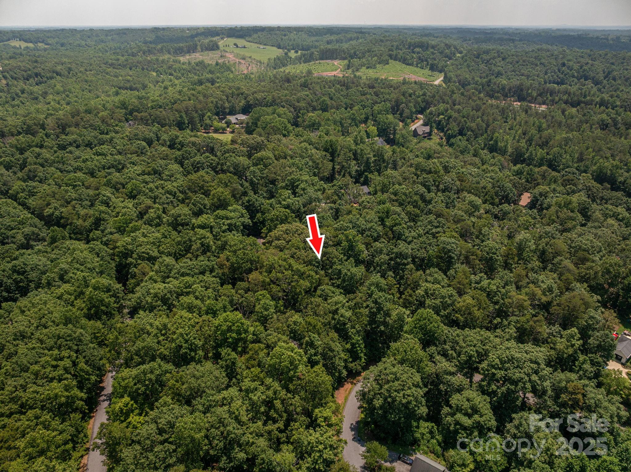 Lot #38 Moss Drive Rutherfordton NC 28139