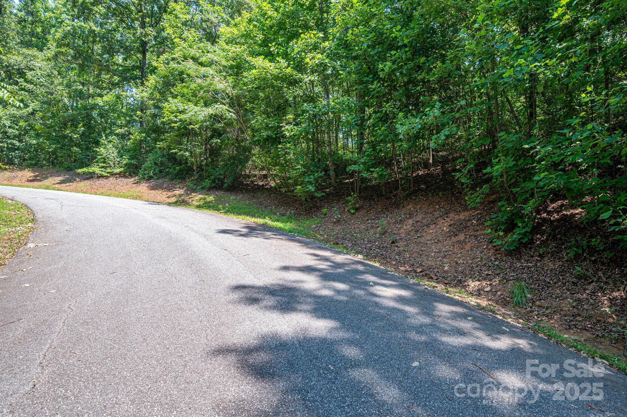 Lot #38 Moss Drive Rutherfordton NC 28139