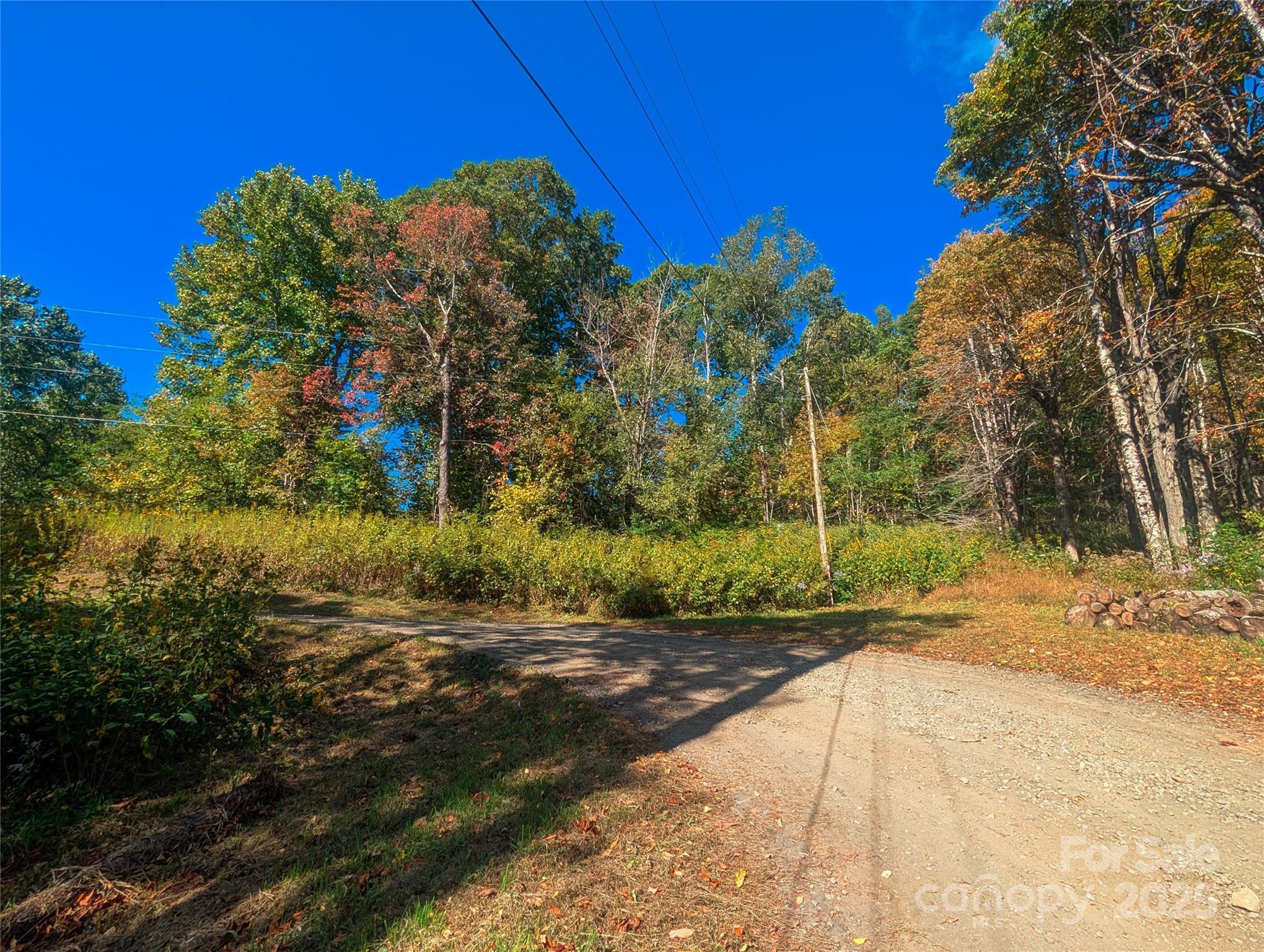 0000 Nicholas Knoll Bakersville NC 28705