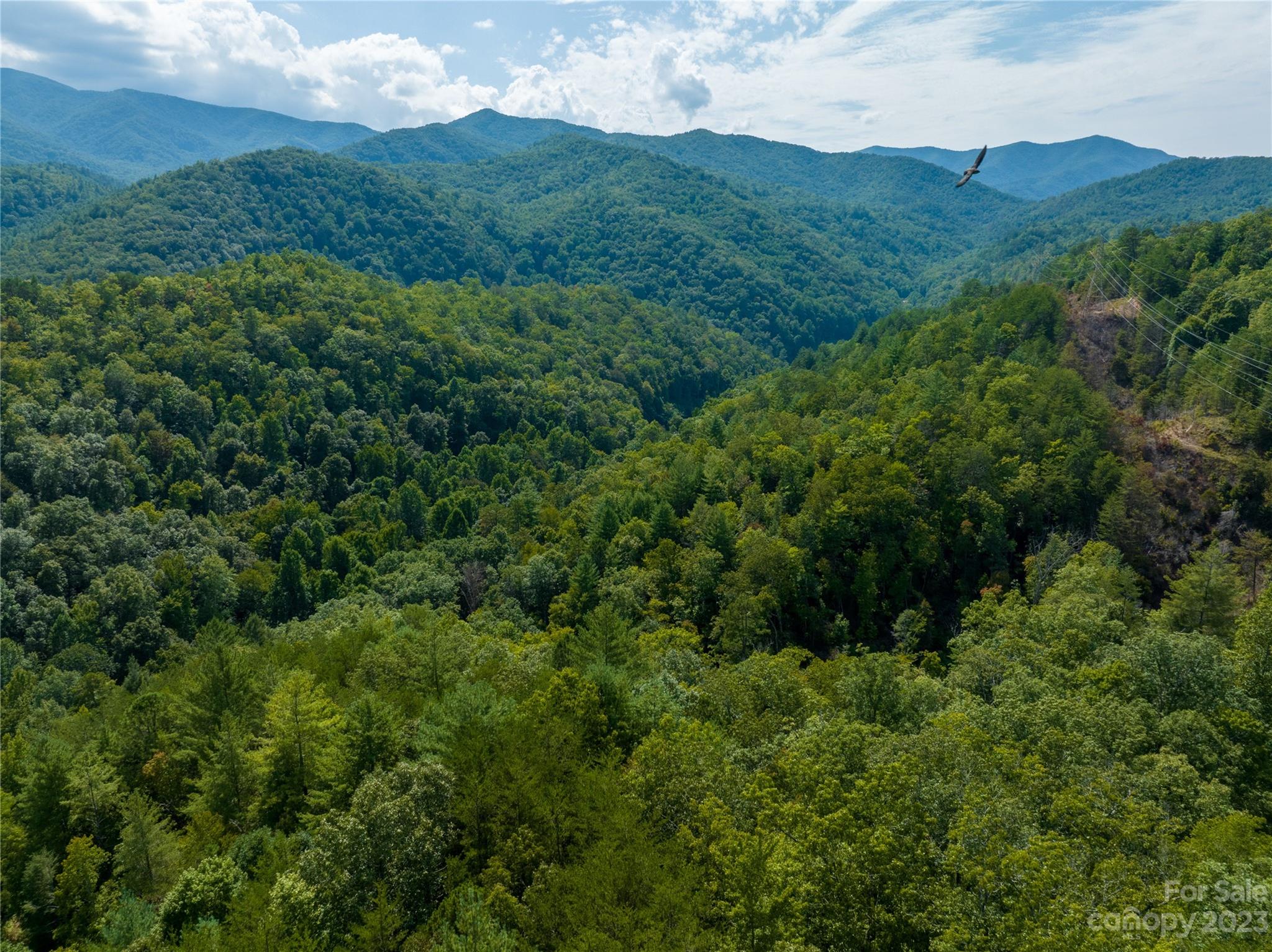 1200 Meadow Branch Road Robbinsville NC 28771