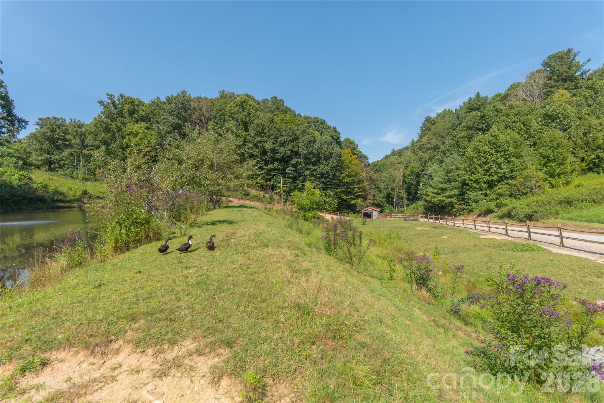 00 Curry Comb Trail Waynesville NC 28785