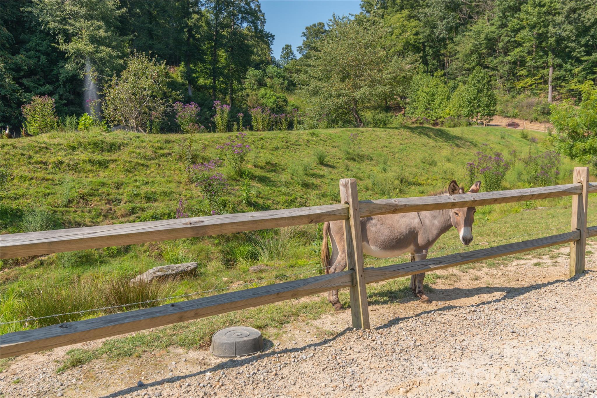 00 Curry Comb Trail Waynesville NC 28785