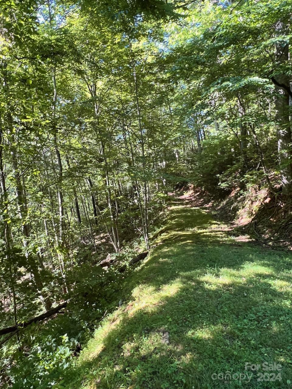 735 Whisper Mountain Drive Leicester NC 28748