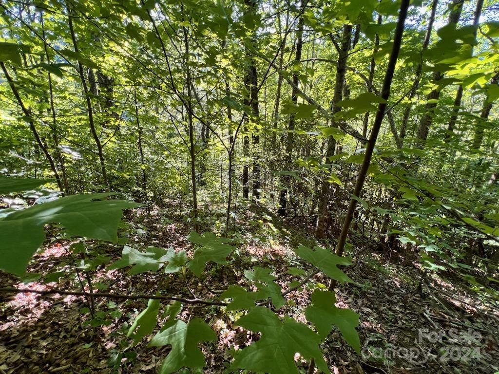 735 Whisper Mountain Drive Leicester NC 28748