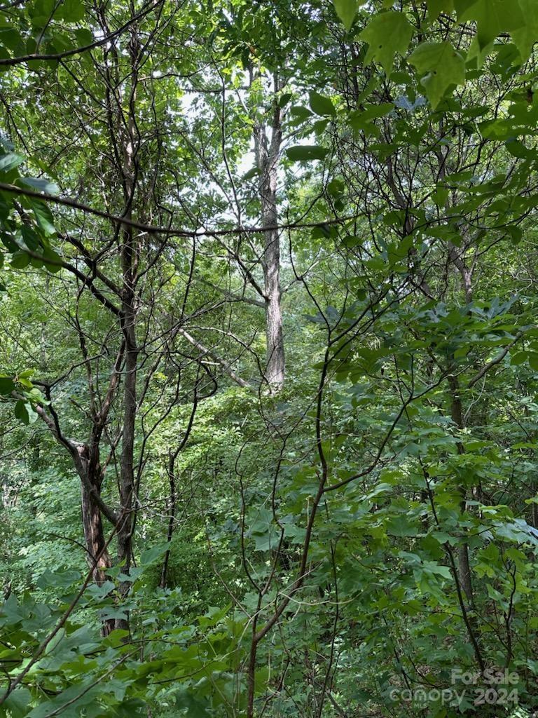 735 Whisper Mountain Drive Leicester NC 28748