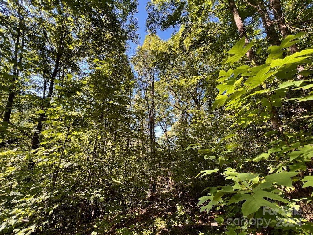 735 Whisper Mountain Drive Leicester NC 28748