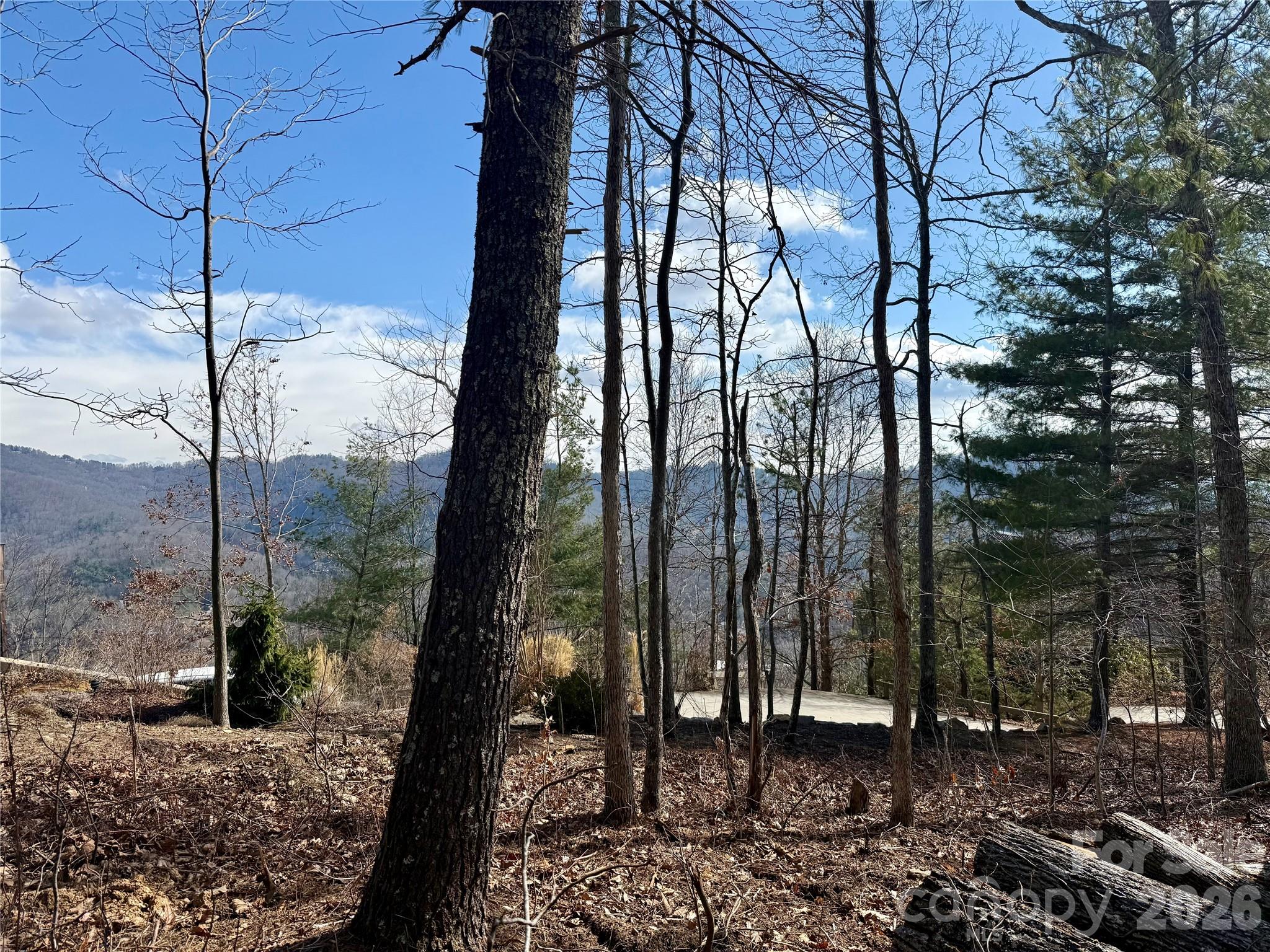 000 Rambling Ridge Road Asheville NC 28804