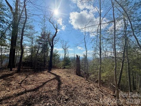 000 Rambling Ridge Road Asheville NC 28804