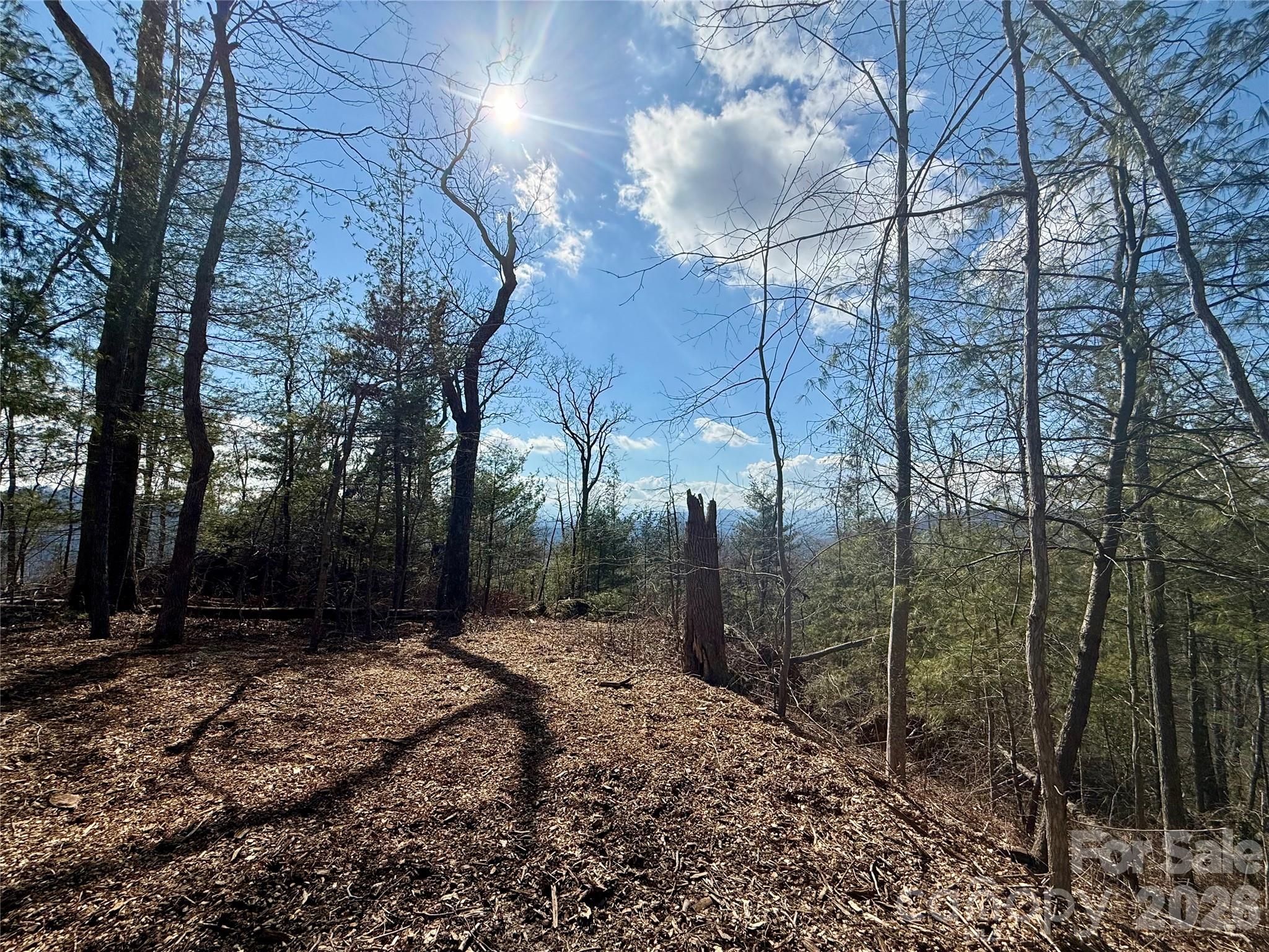 000 Rambling Ridge Road Asheville NC 28804