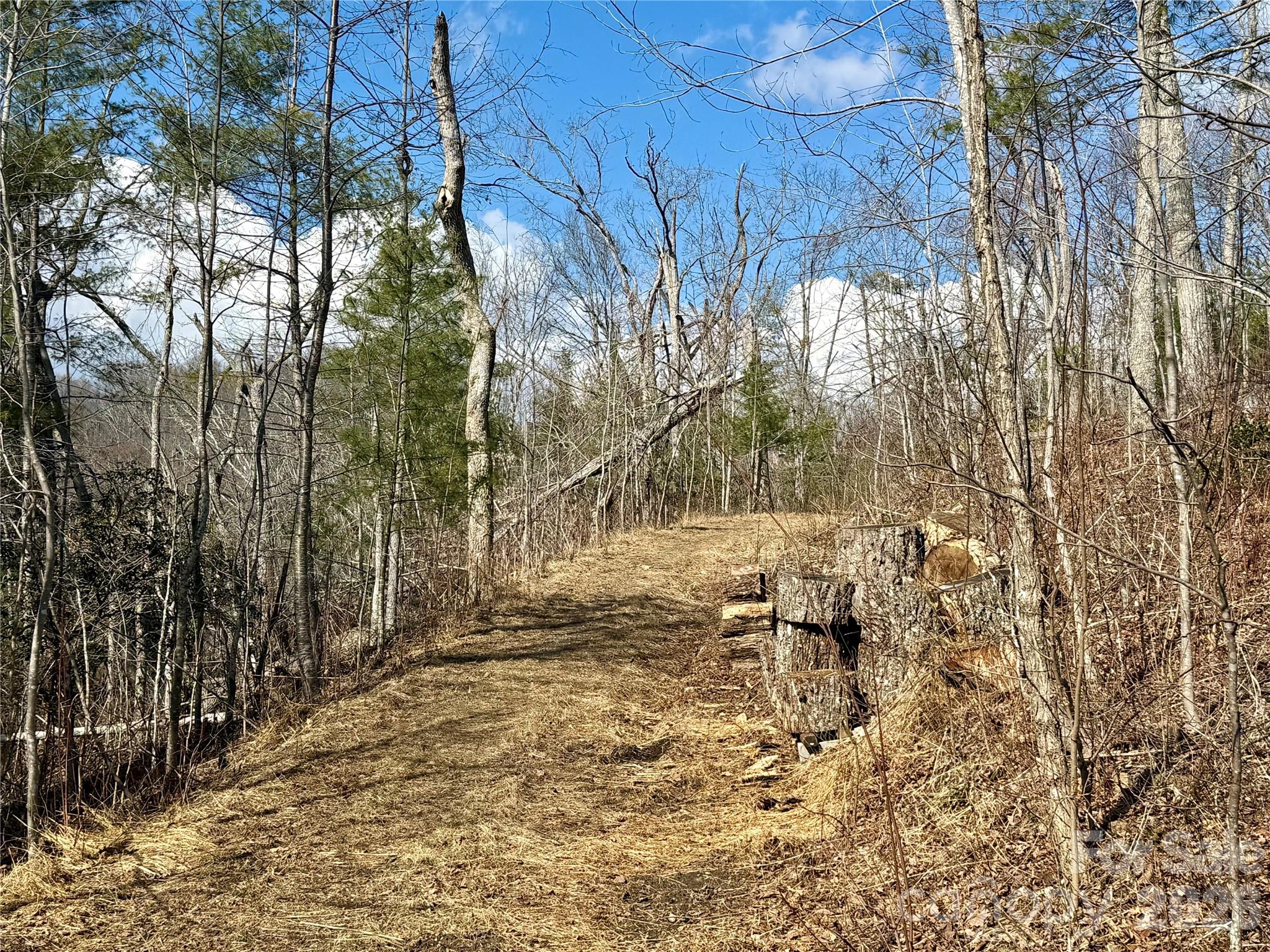 000 Rambling Ridge Road Asheville NC 28804