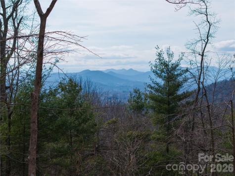 000 Rambling Ridge Road Asheville NC 28804