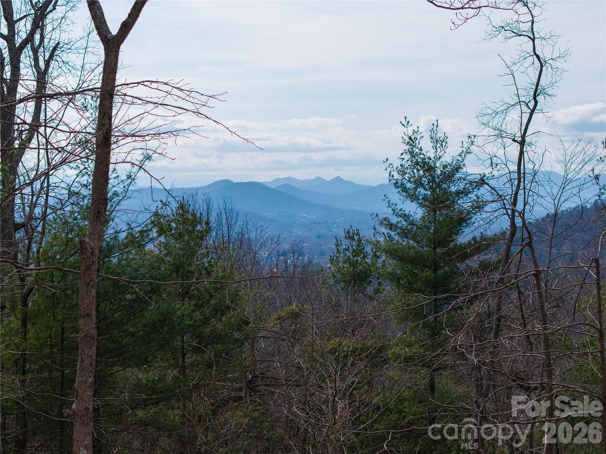 000 Rambling Ridge Road Asheville NC 28804