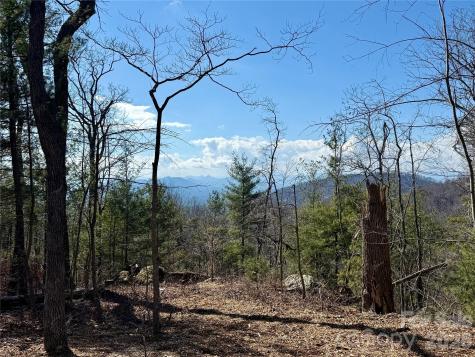 000 Rambling Ridge Road Asheville NC 28804
