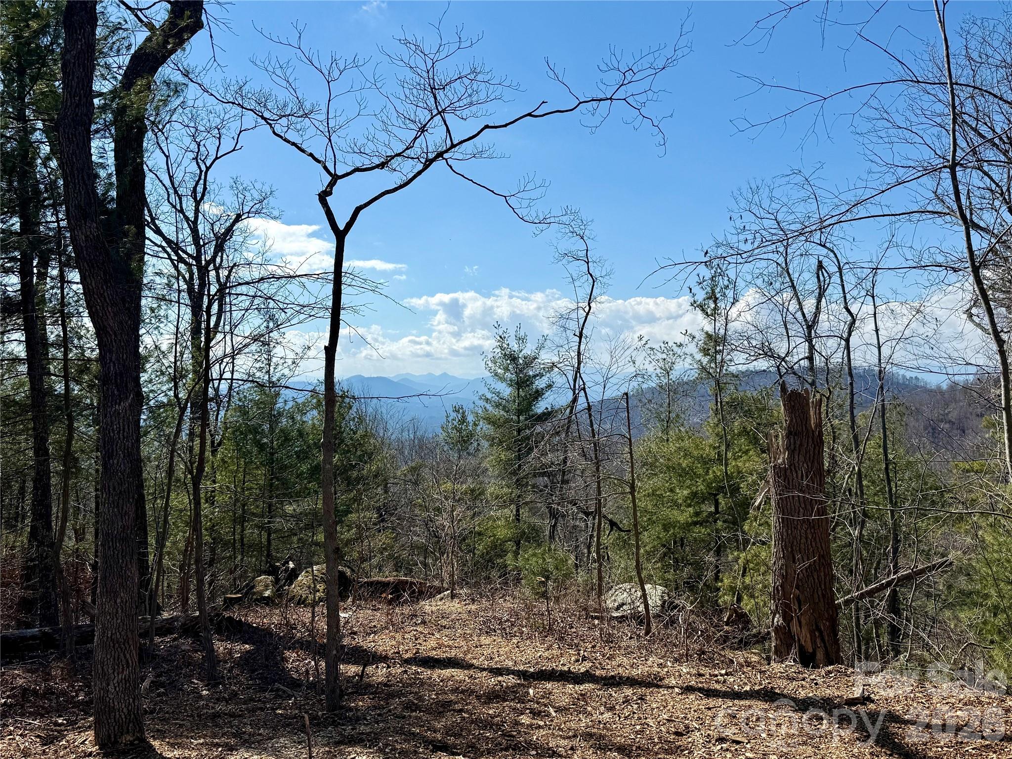 000 Rambling Ridge Road Asheville NC 28804