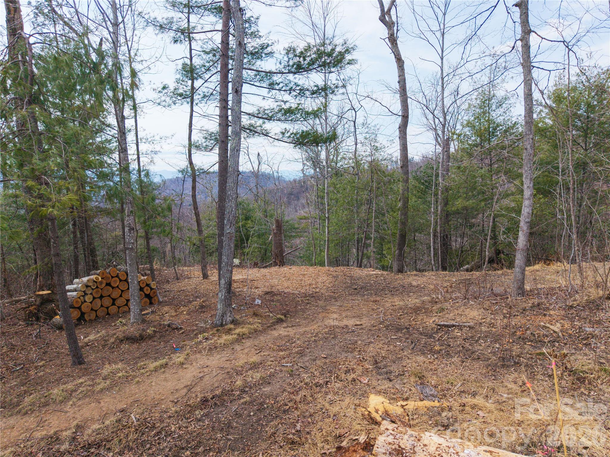 000 Rambling Ridge Road Asheville NC 28804