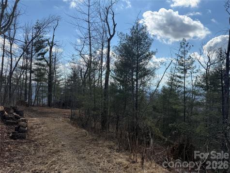 000 Rambling Ridge Road Asheville NC 28804