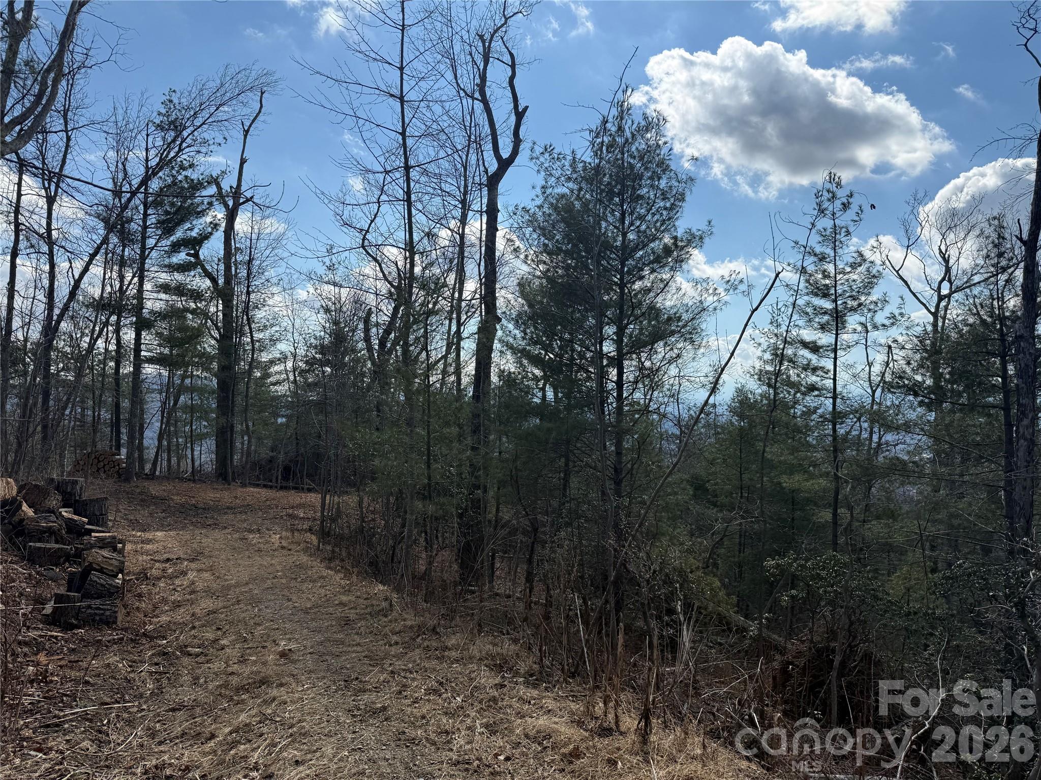 000 Rambling Ridge Road Asheville NC 28804