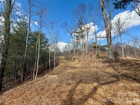 000 Rambling Ridge Road Asheville NC 28804