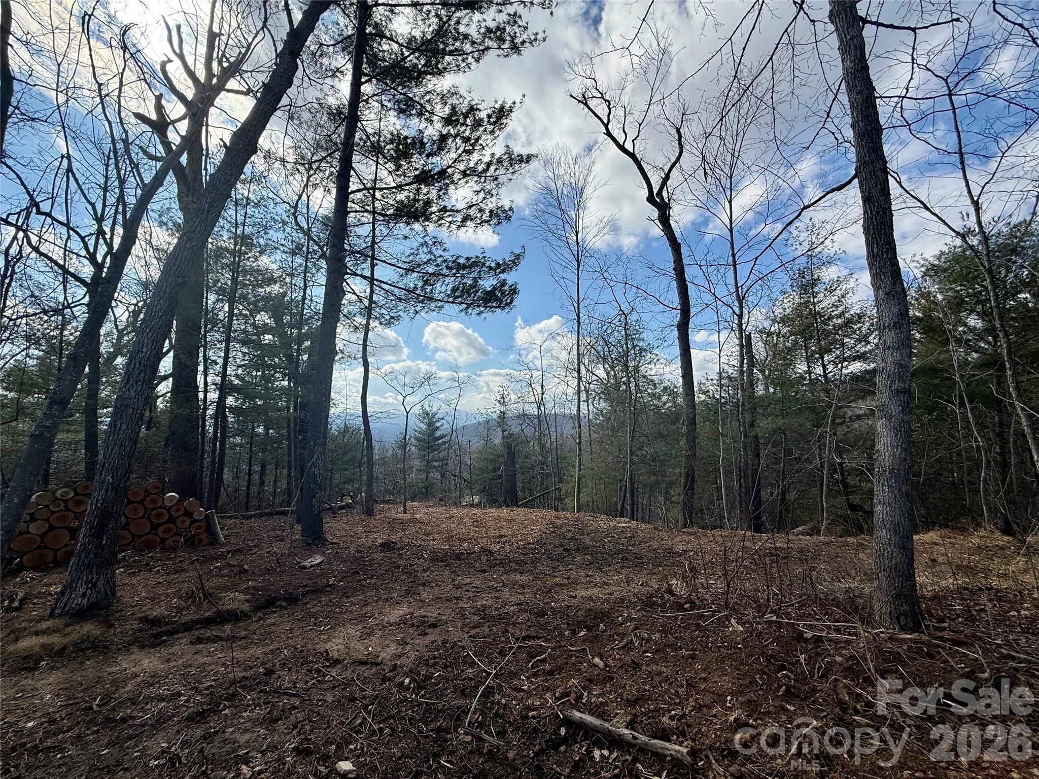 000 Rambling Ridge Road Asheville NC 28804