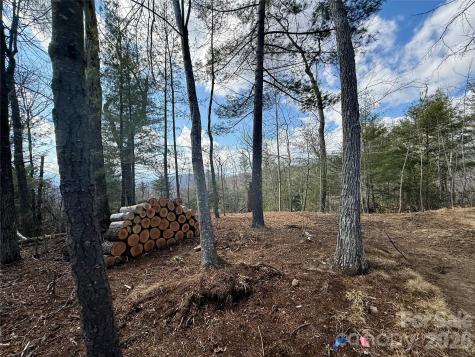 000 Rambling Ridge Road Asheville NC 28804