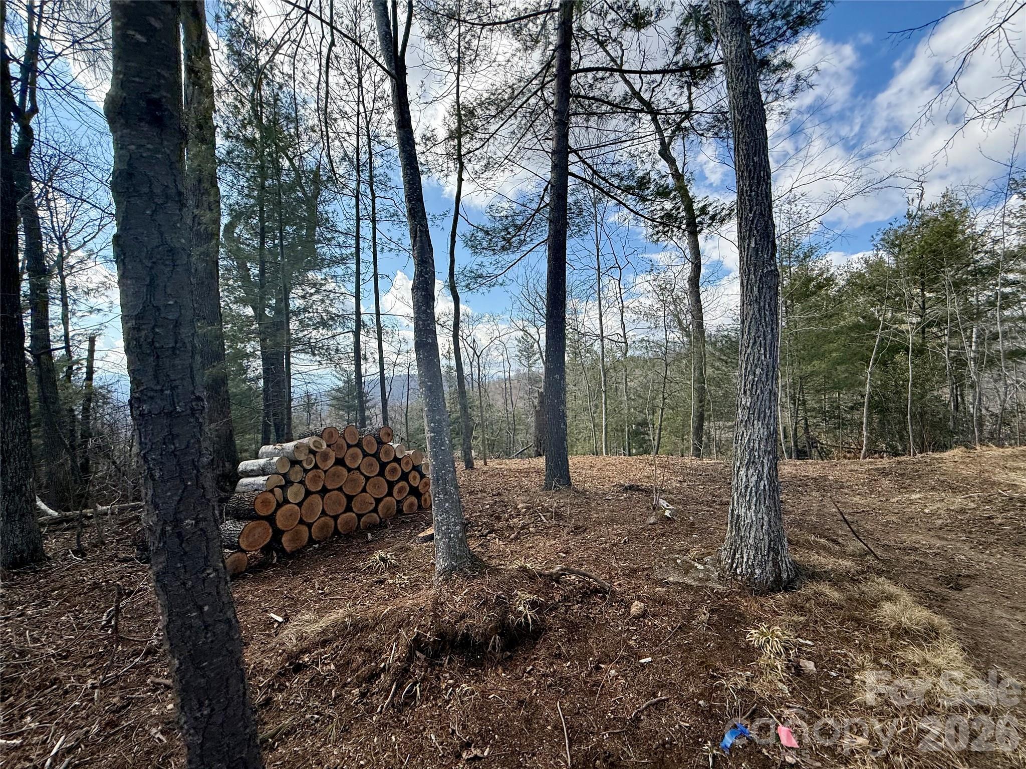 000 Rambling Ridge Road Asheville NC 28804