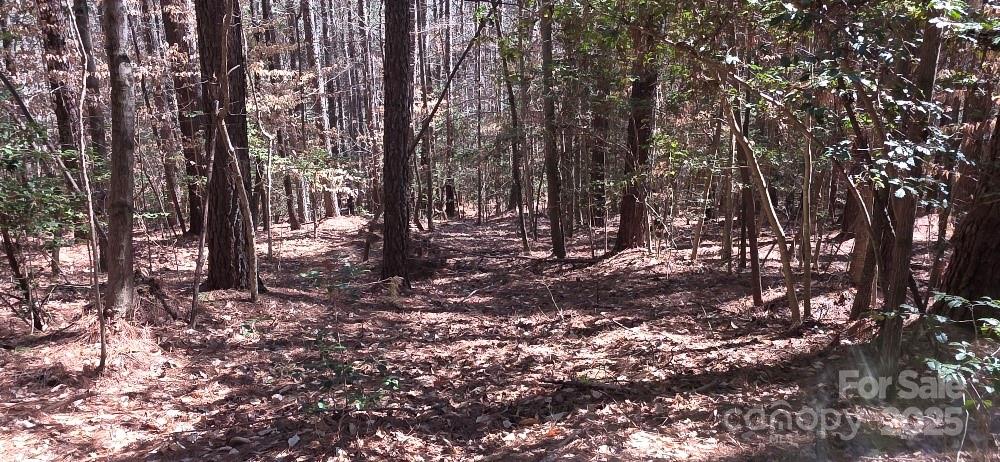 210 Ridge Top Drive Connelly Springs NC 28612