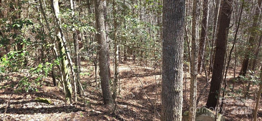 210 Ridge Top Drive Connelly Springs NC 28612