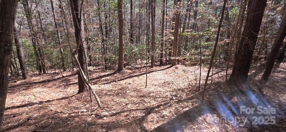210 Ridge Top Drive Connelly Springs NC 28612