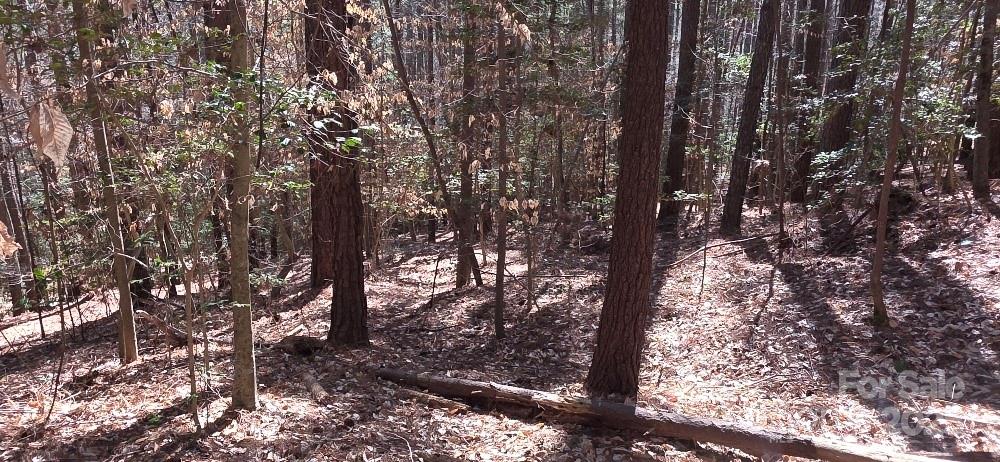 210 Ridge Top Drive Connelly Springs NC 28612