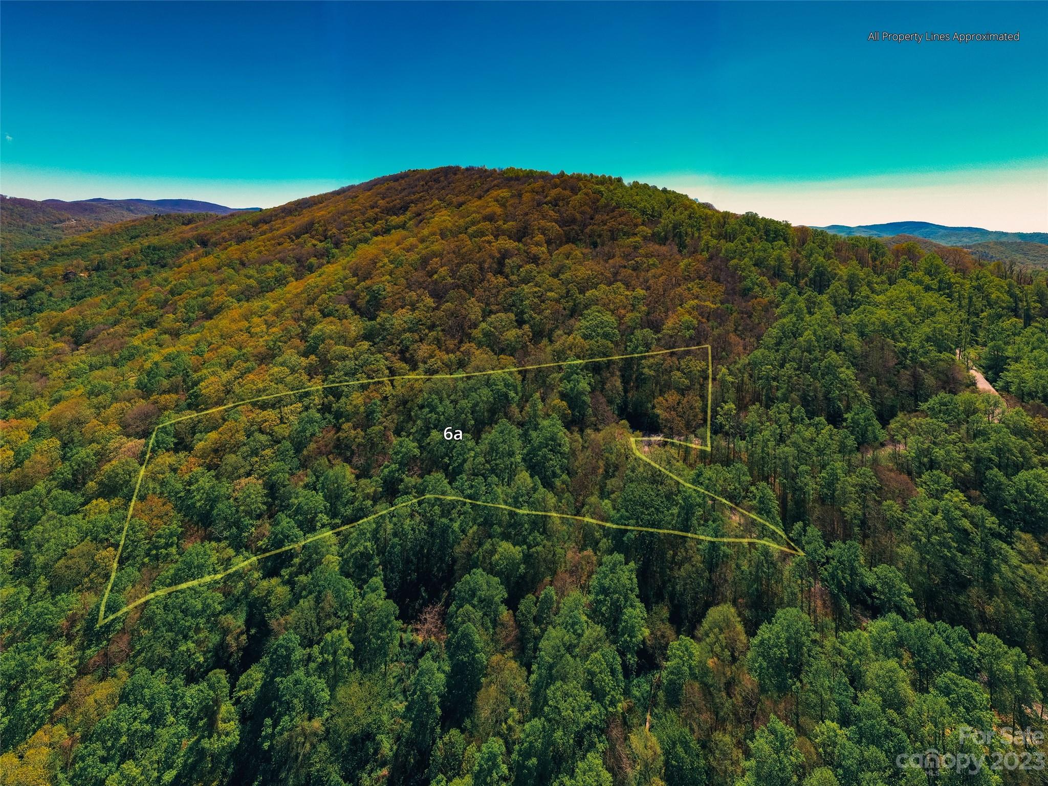 58 Flora Rose Trail Asheville NC 28803
