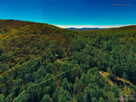 58 Flora Rose Trail Asheville NC 28803