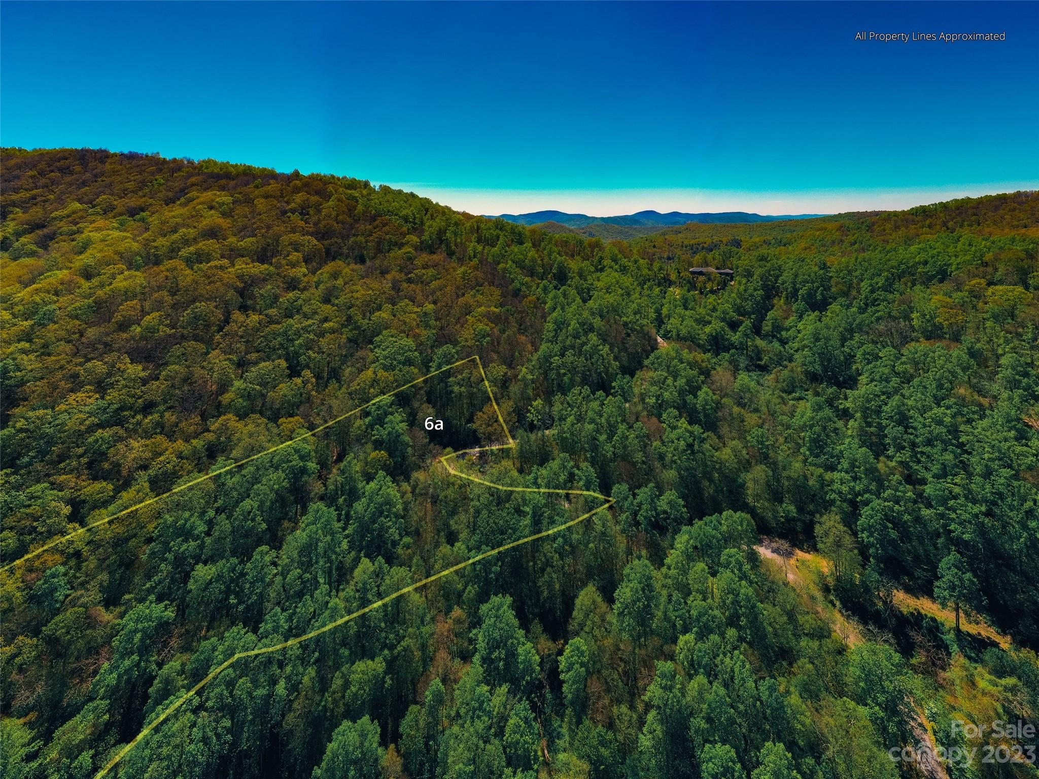 58 Flora Rose Trail Asheville NC 28803
