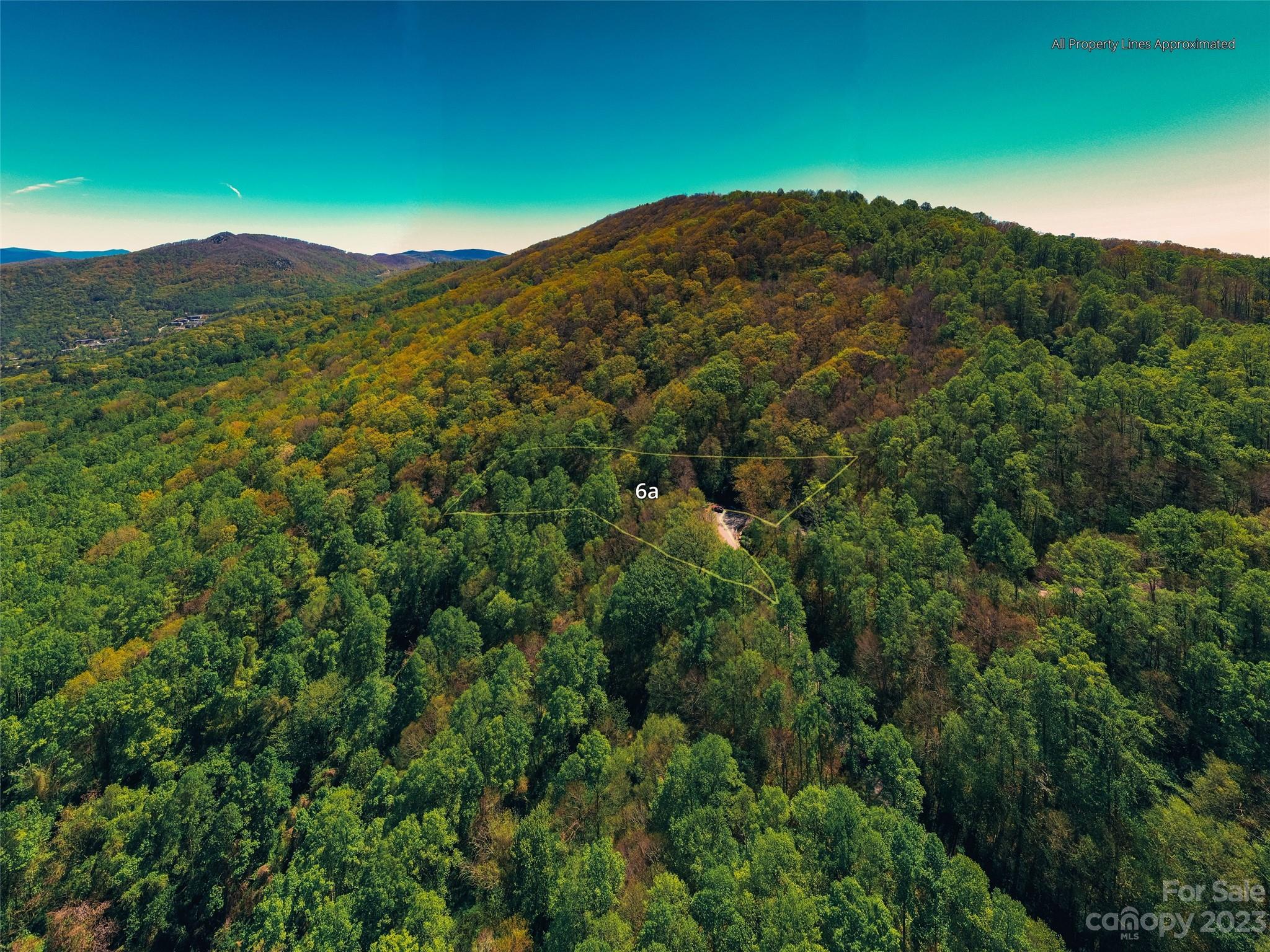 58 Flora Rose Trail Asheville NC 28803