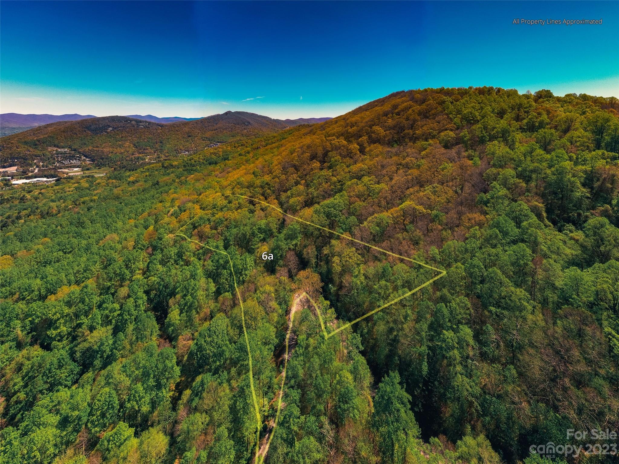 58 Flora Rose Trail Asheville NC 28803