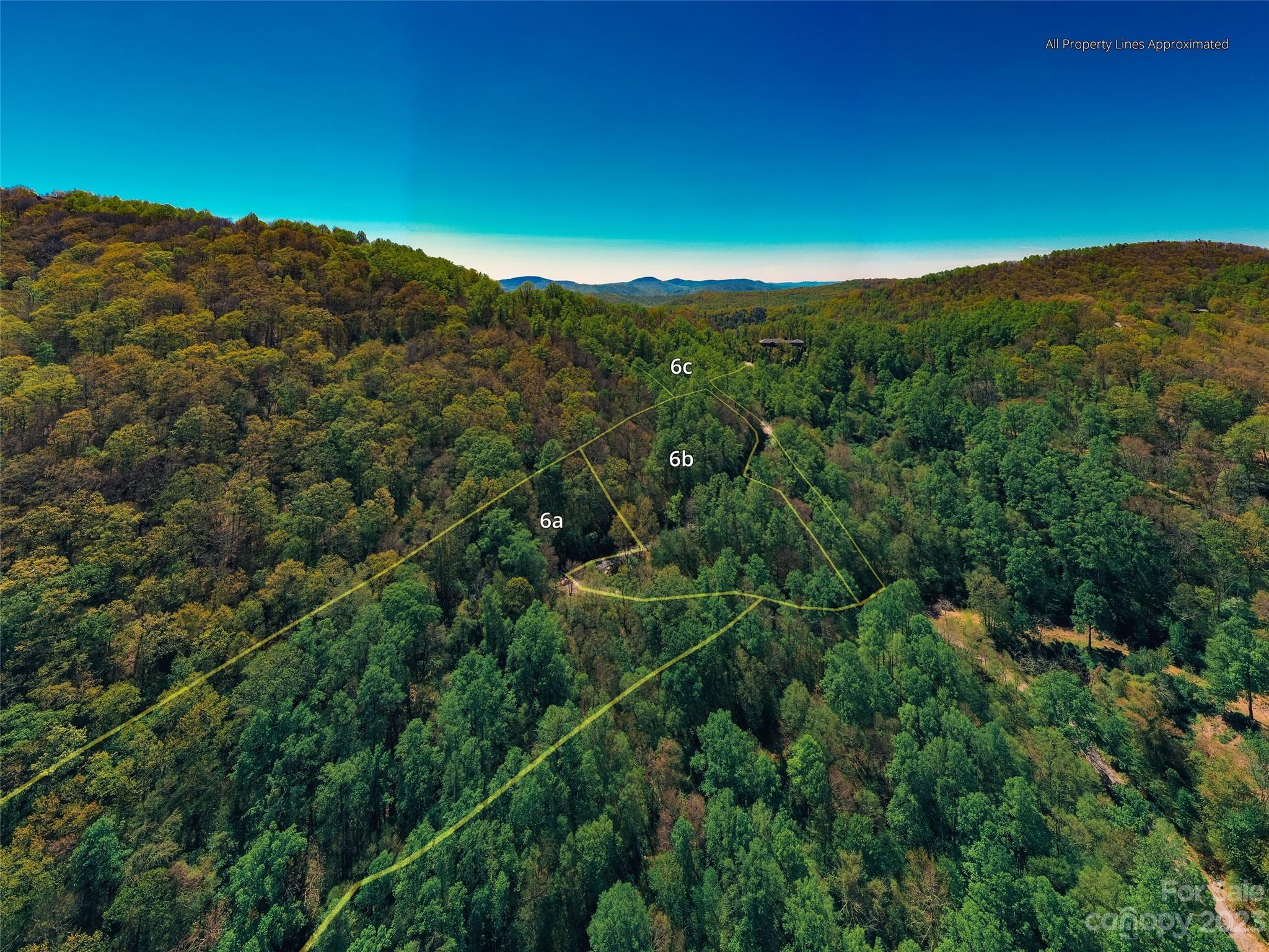 58 Flora Rose Trail Asheville NC 28803
