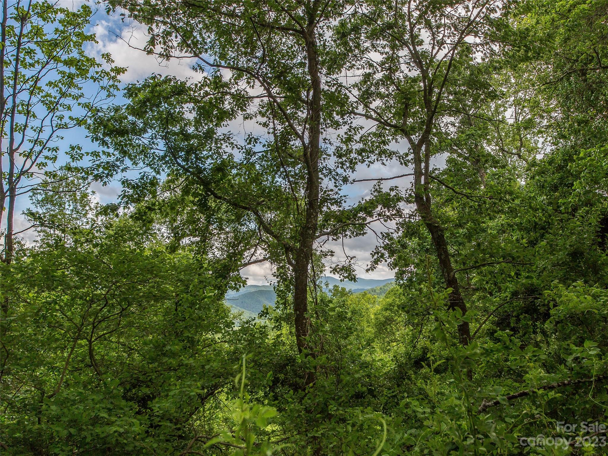 58 Flora Rose Trail Asheville NC 28803