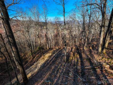 58 Flora Rose Trail Asheville NC 28803