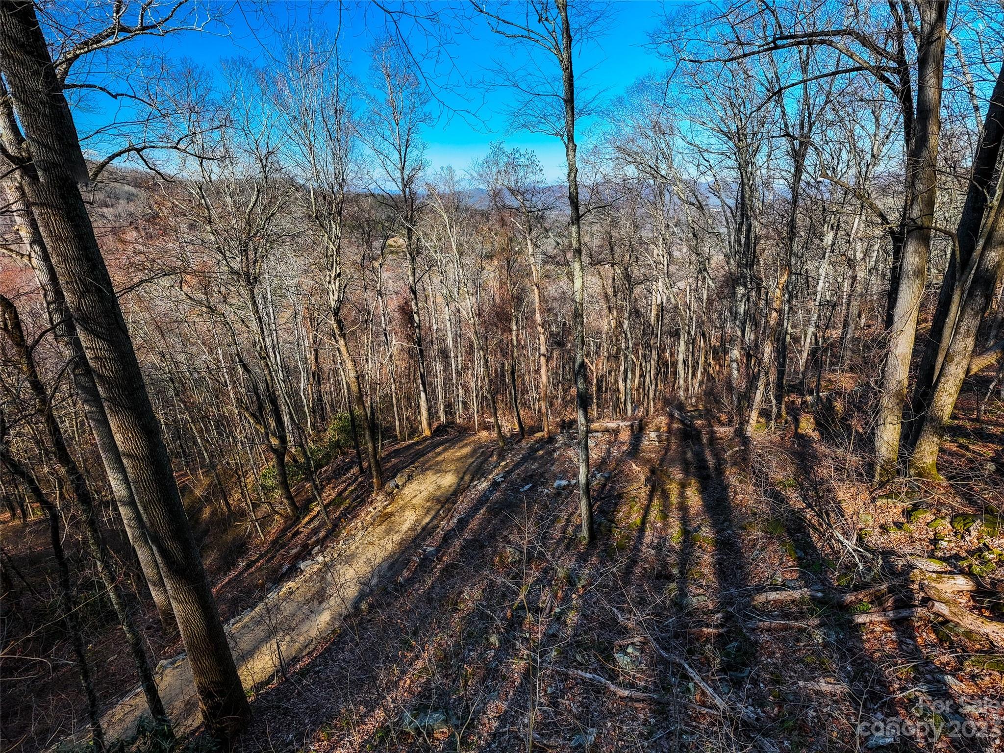 58 Flora Rose Trail Asheville NC 28803