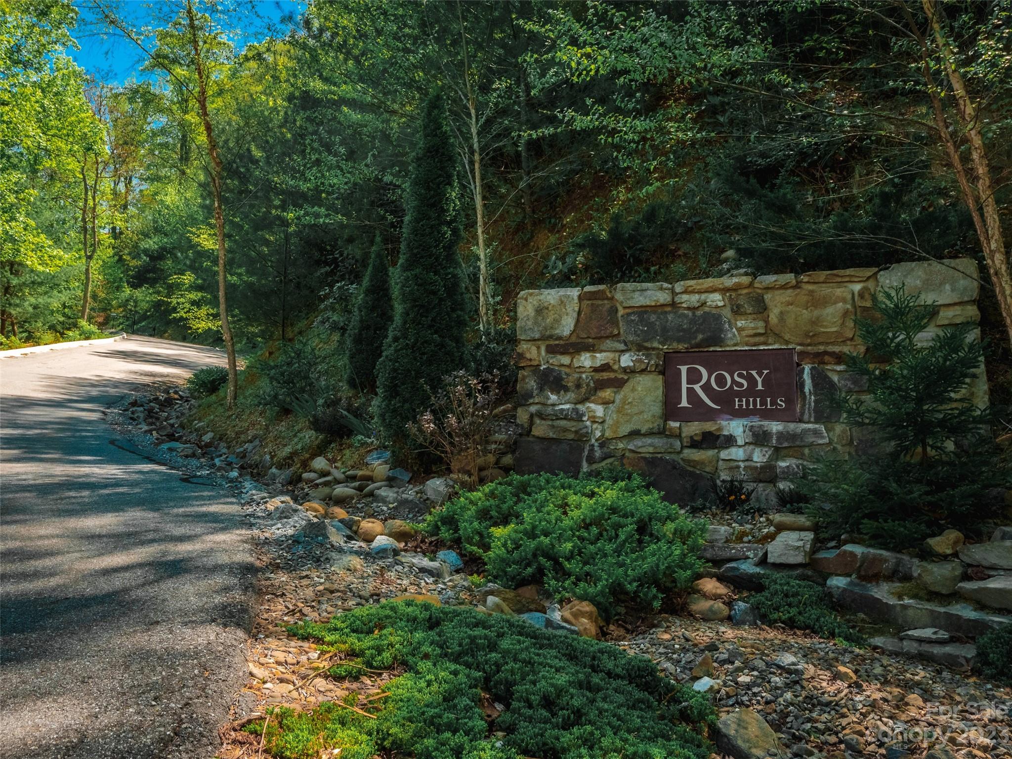 58 Flora Rose Trail Asheville NC 28803