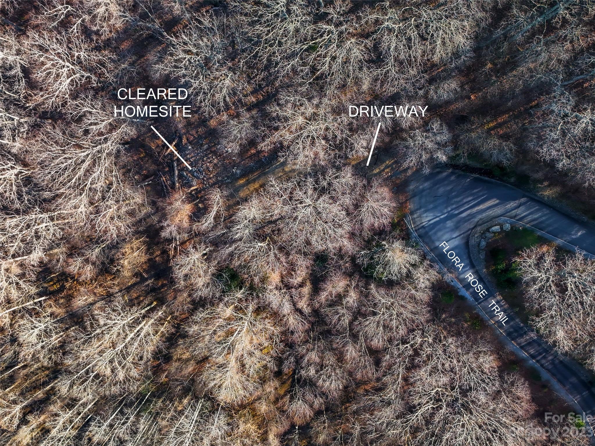 58 Flora Rose Trail Asheville NC 28803